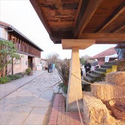 Virtual tour Ayuntamiento de Gijón - Jardín Botánico de Gijón Gijón