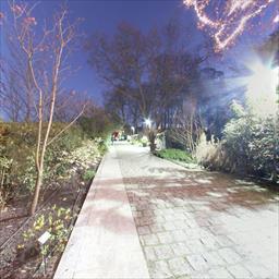 Virtual tour Ayuntamiento de Gijón - Jardín Botánico de Gijón Gijón