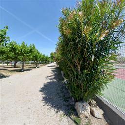 Virtual tour Camping L'Alba Creixell