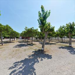Virtual tour Camping L'Alba Creixell