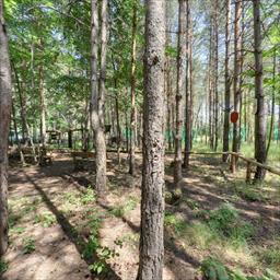 Virtual tour Ecoparque  El Juncaral Tiro con Arco Villanúa