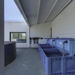 Virtual tour KOI HACIENDA MANILVA